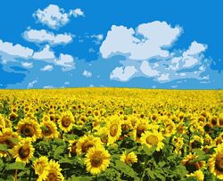 картины рисуем по номерам