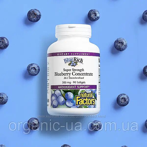 Natural Factors, BlueRich, Super Strength, концентрат лохини, 500 мг, 90 шт
