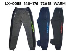 Утеплені спортивні штани 146 - 158