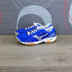 Кросівки Mizuno