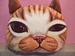 3d подушка игрушка кот собака 