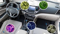 Озонирование дезинфекция салона автомобиля устранение всех запахов