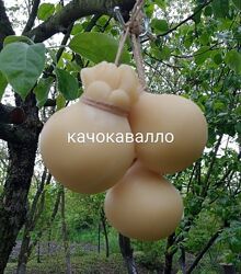 Смачне козяче молоко, сири, інша продукція -Київ-доставка