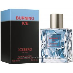 #1: ICEBERG BURNING ICE