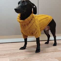 Вязаный шерстяной свитер для средних собак. 