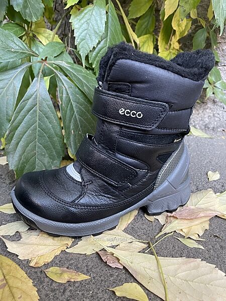 Зимние ботинки Ecco Biom Gore-Tex 28 р