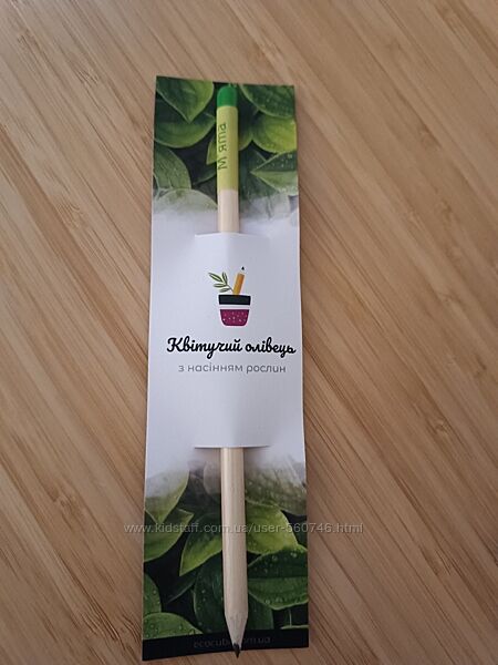 Квітучий олівець мята