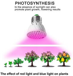 Светодиодная лампа для выращивания растений e27 фитолампа экономная