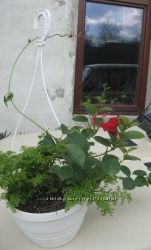 #8: 250гр подвеска
