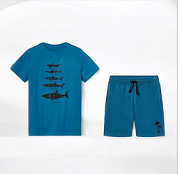 #3: 146/152, 158/164 см