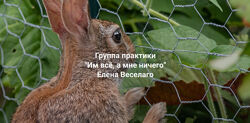 Елена Веселаго Им всё, а мне ничего 2024