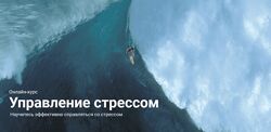 Полина Тур, Полина Кривых Управление стрессом. Тариф Standart 