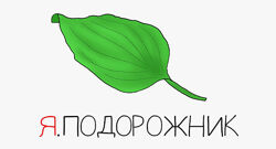 Антон Маркин Я. Подорожник 2024