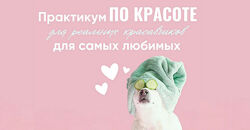 Ирина Выборнова Практикум по красоте 2024