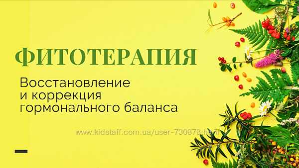 Яна Степанова Методичка Фитотерапия женских заболеваний 2024