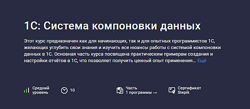 Василий Еремин Stepik 1С Система компоновки данных 2024