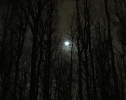 Константин Соломатин Дерзость 2020