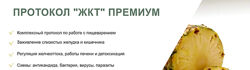 Светлана Литвиненко Протокол ЖКТ Премиум 2024