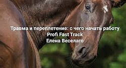 Елена Веселаго Травма и переплетение с чего начать работу. Группа практики
