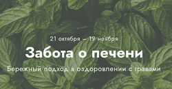 Светлана Калмыкова Забота о печени