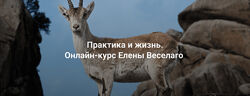 Елена Веселаго Практика и жизнь. Ступень 1 2024