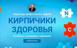 Владимир Дадали Кирпичики здоровья 2024