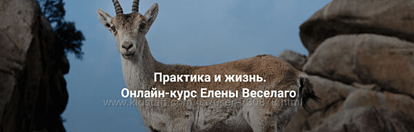 Елена Веселаго Практика и жизнь. Ступень 2 2024