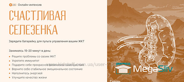 Владимир Осипов Счастливая Селезенка. Узнайте, как зарядить батарейку 