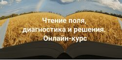 Елена Веселаго Чтение поля, диагностика и решения. Тариф Апгрейд до пакета 