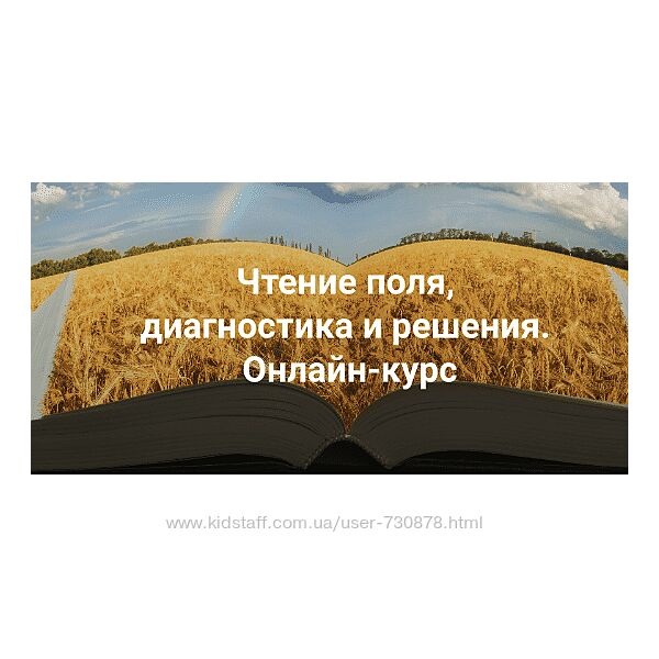 Елена Веселаго Чтение поля, диагностика и решения. Тариф Апгрейд до пакета 