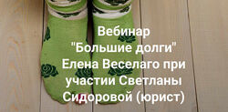 Елена Веселаго Большие долги Институт Открытого поля