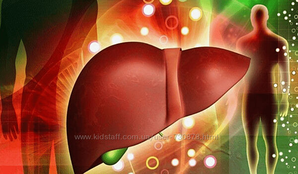 Наталья Хаустова Схема поддержки 2 фазы детокса печени с обновлениями 2024