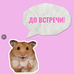 Ирина Выборнова, Наталья Скороходова Здоровые дети  Счастливые взрослые 