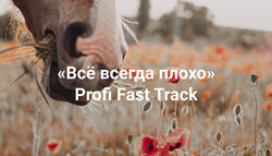 Елена Веселаго Всё всегда плохо. Profi Fast Track Институт Открытого поля