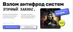 CyberYozh Этичный хакинг. Взлом антифрод систем. Тариф Senior 2023