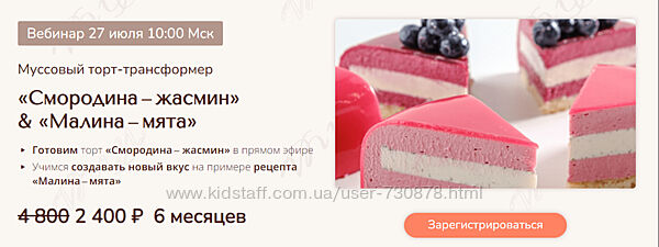 Вера Никандрова Муссовый торт-трансформер. Смородина-жасмин и Малина-мята 
