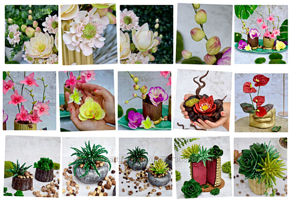 Ирина Мошкина Шоколадная экзотика 2024