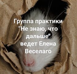 Елена Веселаго Не знаю, что дальше Институт Открытого поля 
