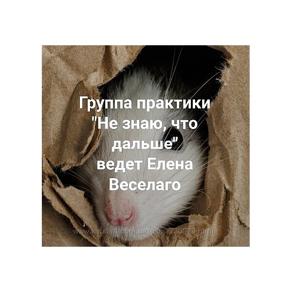 Елена Веселаго Не знаю, что дальше Институт Открытого поля 