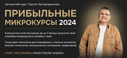 Сергей Загородников Прибыльные микрокурсы. Тариф Premium 2024