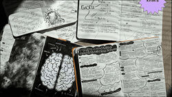 Елена Александрова Умные заметки 2024