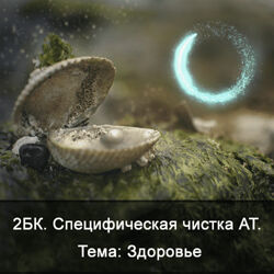 Ксения Меньшикова 2БК Специфическая чистка астрального тела. Тема Здоровье