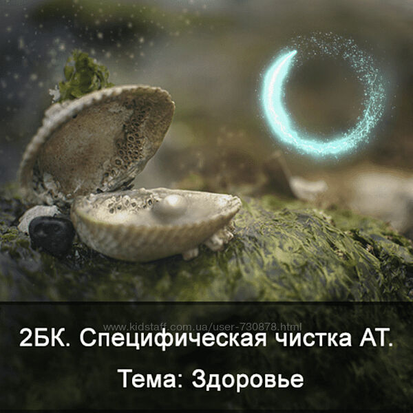 Ксения Меньшикова 2БК Специфическая чистка астрального тела. Тема Здоровье