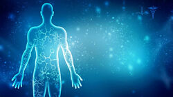 Sigh Energy Сканирование тела 2.0 2022