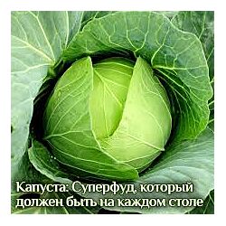 Катя Янг Капуста суперфуд, который должен быть на каждом столе 2024