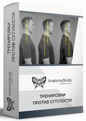 Александр Семенов Тренировки против сутулости. Диагностика и коррекция 