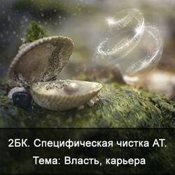 Ксения Меньшикова 2БК Специфическая чистка астрального тела. Власть карьера