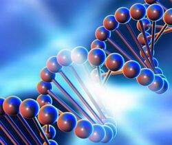 Genetics FY Практический курс по детоксу эстрогенов. Тариф Я сам 2024