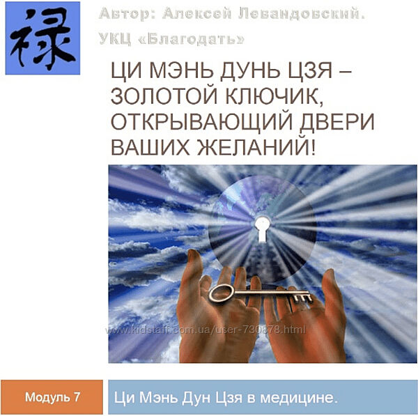 Алексей Левандовский Ци Мэнь в медицине часть 2 2024