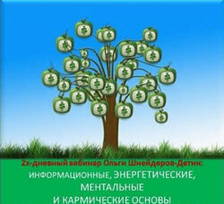 Ольга Шнейдеров-Детин 2х-дневный вебинар Информационные, энергетические,